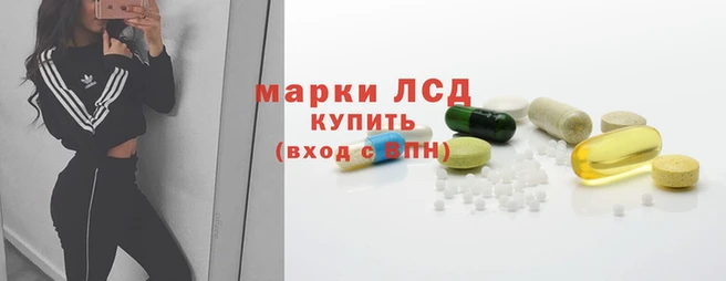 ГАЛЛЮЦИНОГЕННЫЕ ГРИБЫ Баксан