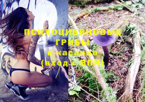 круглые Аркадак