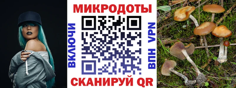 Псилоцибиновые грибы мухоморы  МЕГА сайт  Новочеркасск 